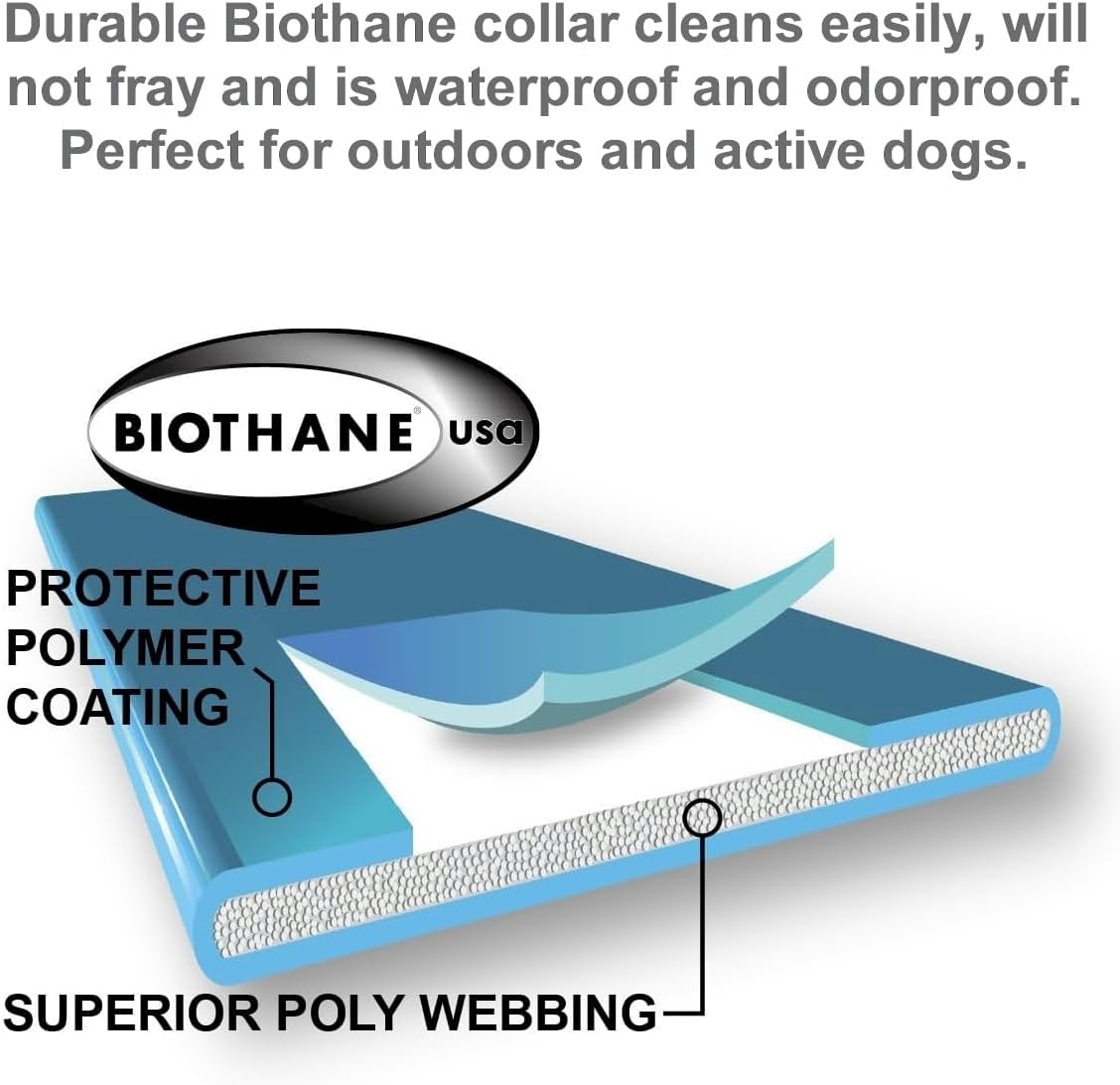 Humane Dog Training Collar with Remote, Features 100 Levels of Safe Stimulation, Tapping Sensation, Night Light, Waterproof, Rechargeable, 1 Mile 1 Dog, Black