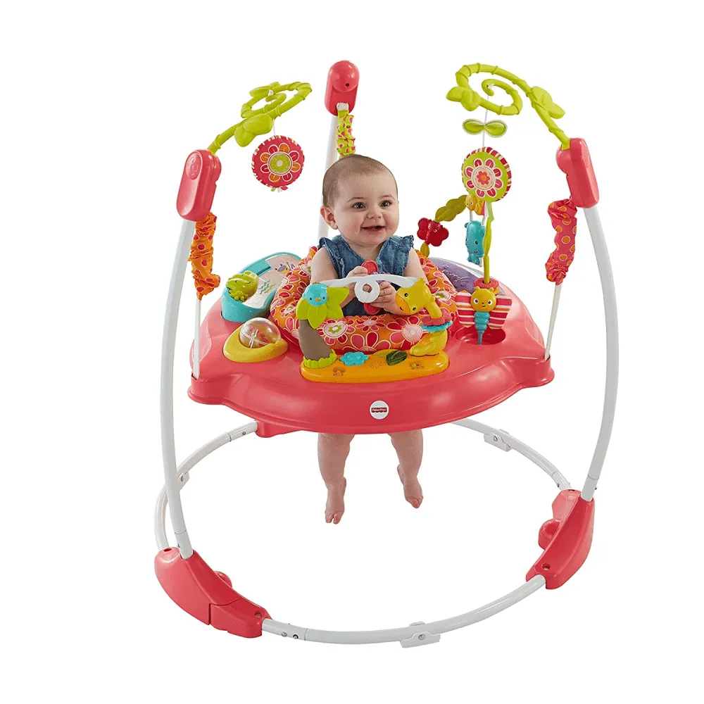 Fisher-Price Jumperoo, Pink Petals