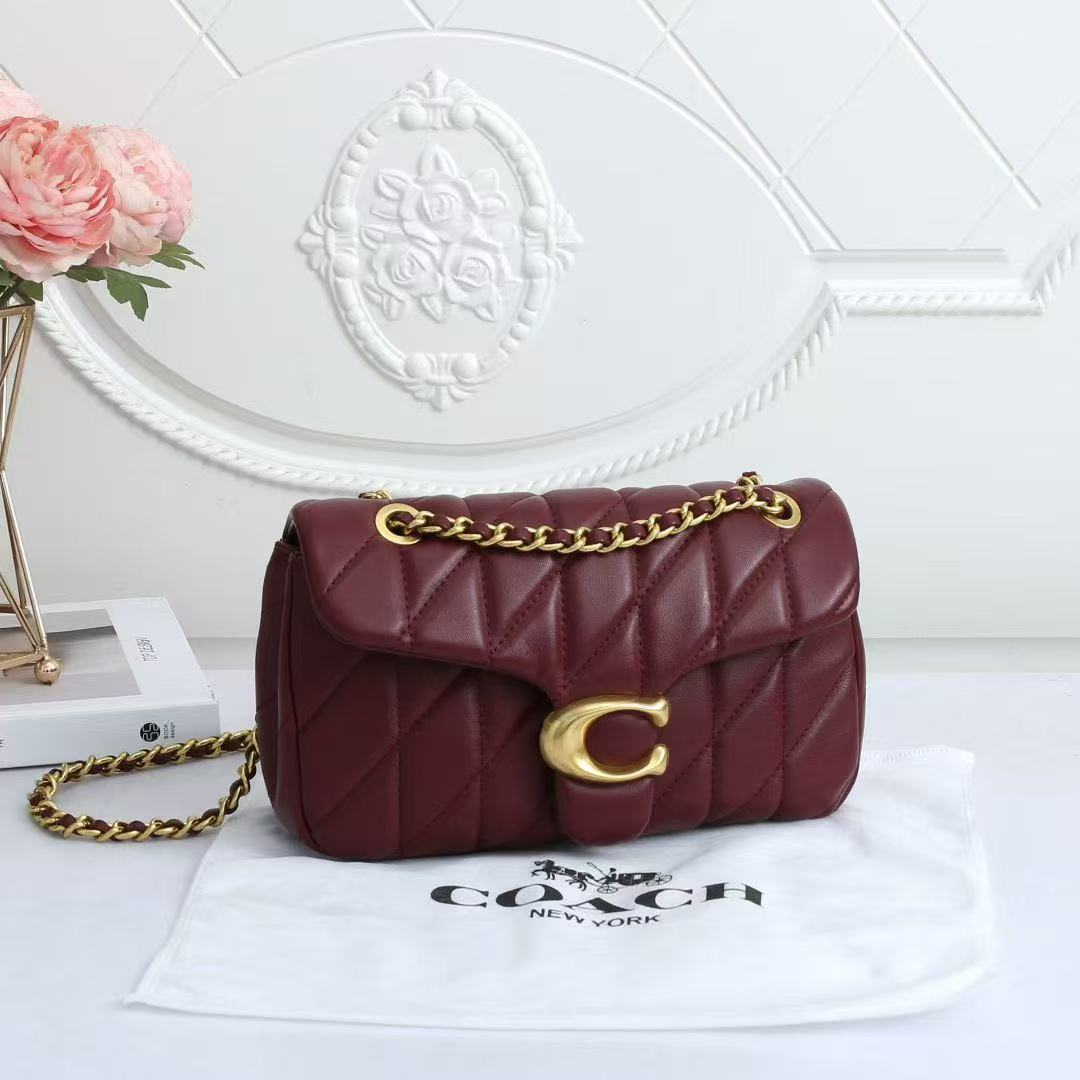 Coach chain bag - cnluxepick