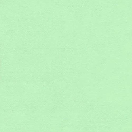 Spearmint Green Cardstock - 12 x 12 inch - 100lb Cover - 25 Sheets