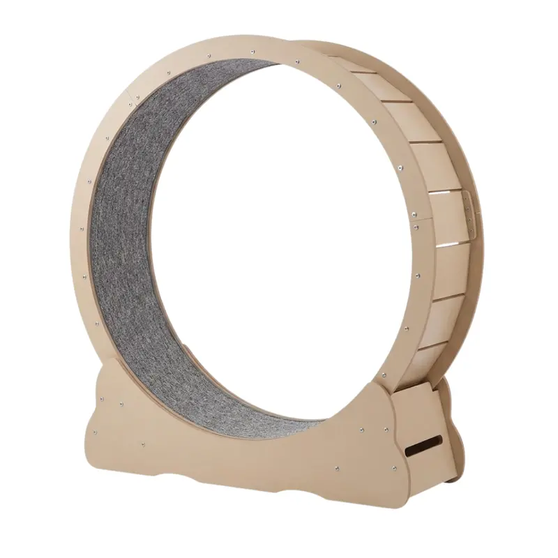 Quiet Indoor Cat Exercise Wheel – Stable Locking Base & Removable Carpeted Mat