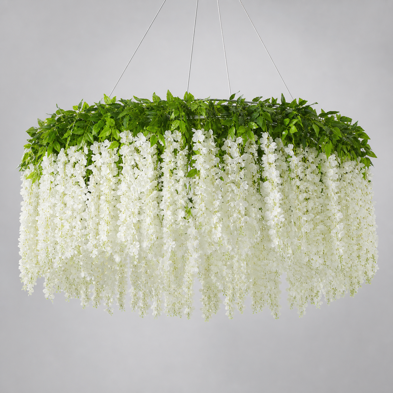 White Wisteria Flowers