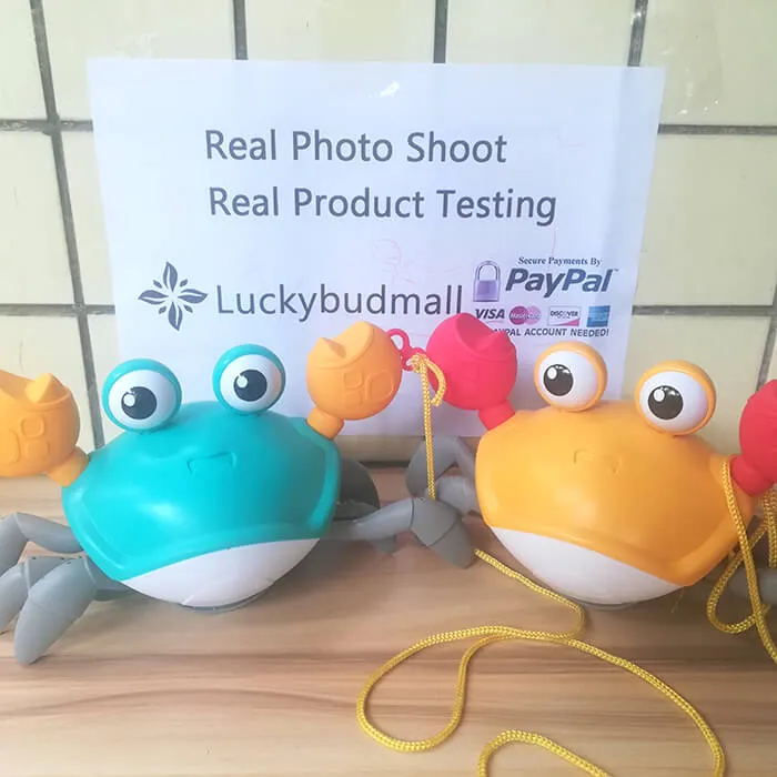 Funny Walking Crab/ Snail/ Octopus Toy