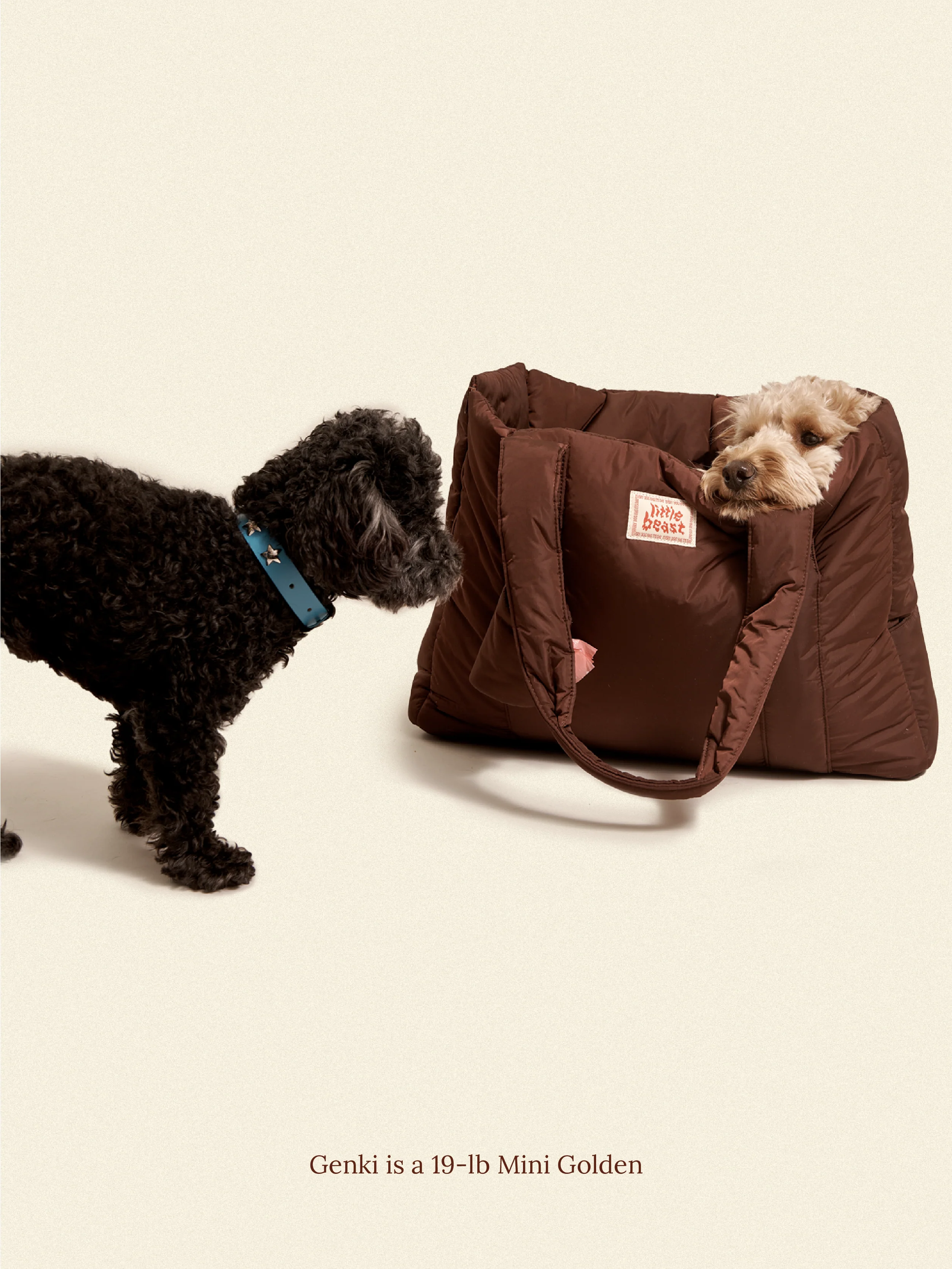 The Little Beast Carrier - Hazel