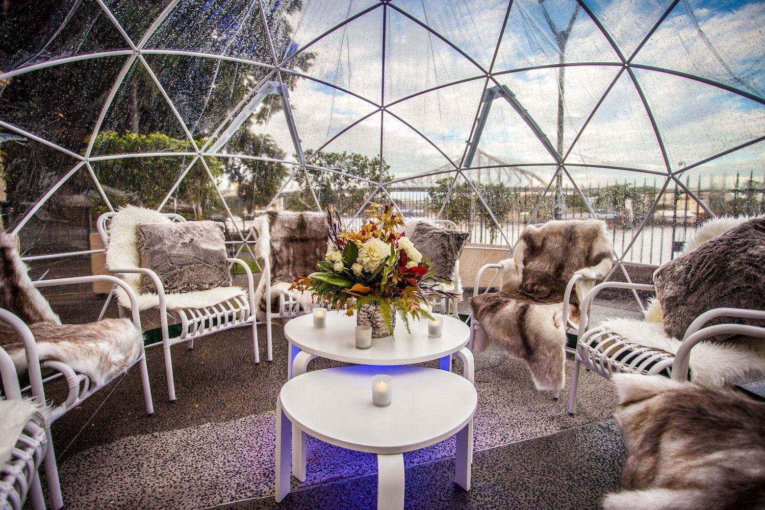 12′ Walk-In Garden Dome Igloo