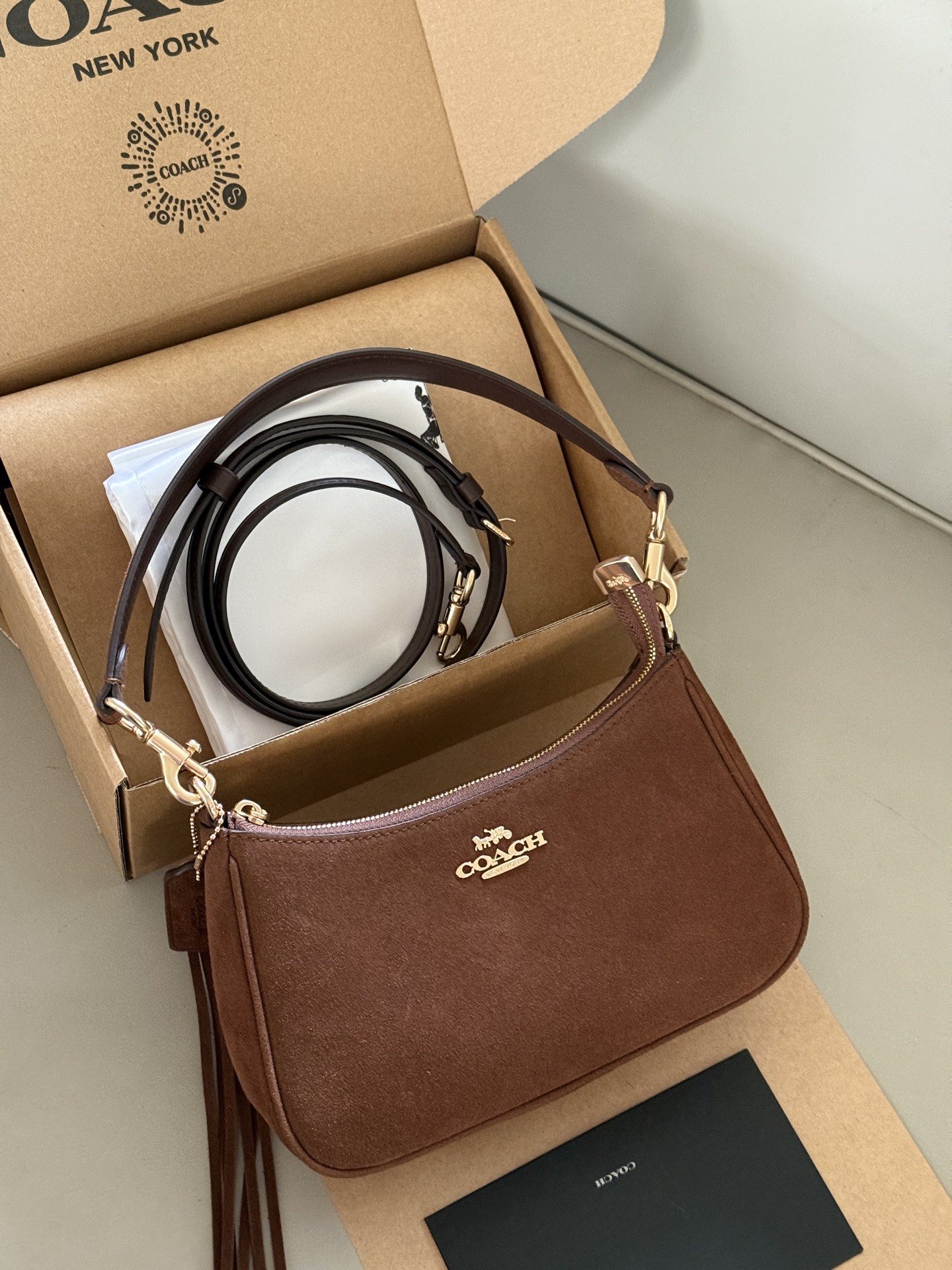 Coach Teri Underarm Bag - cnluxepick