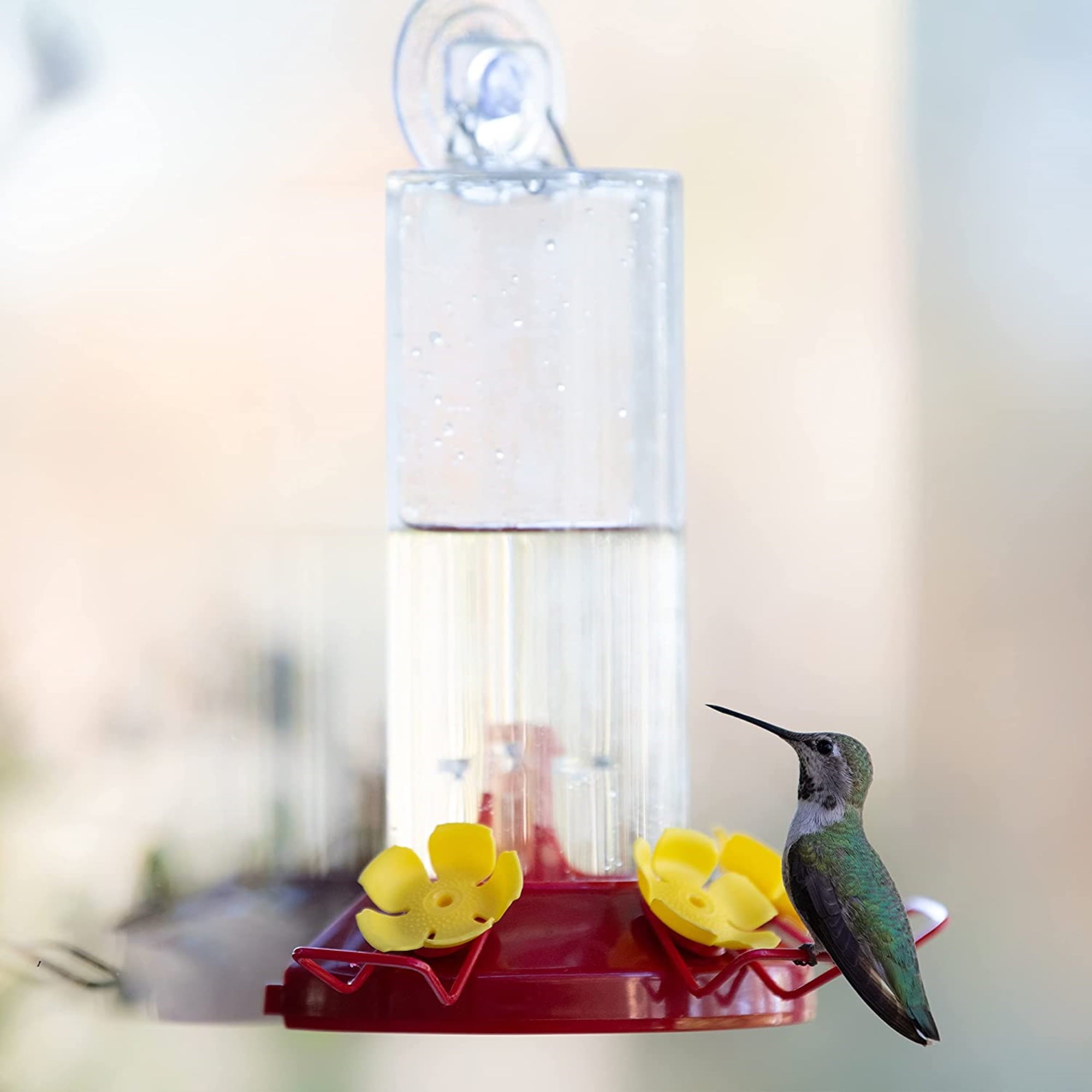 Perky-Pet 8 oz Window-Mount Plastic Hummingbird Feeder
