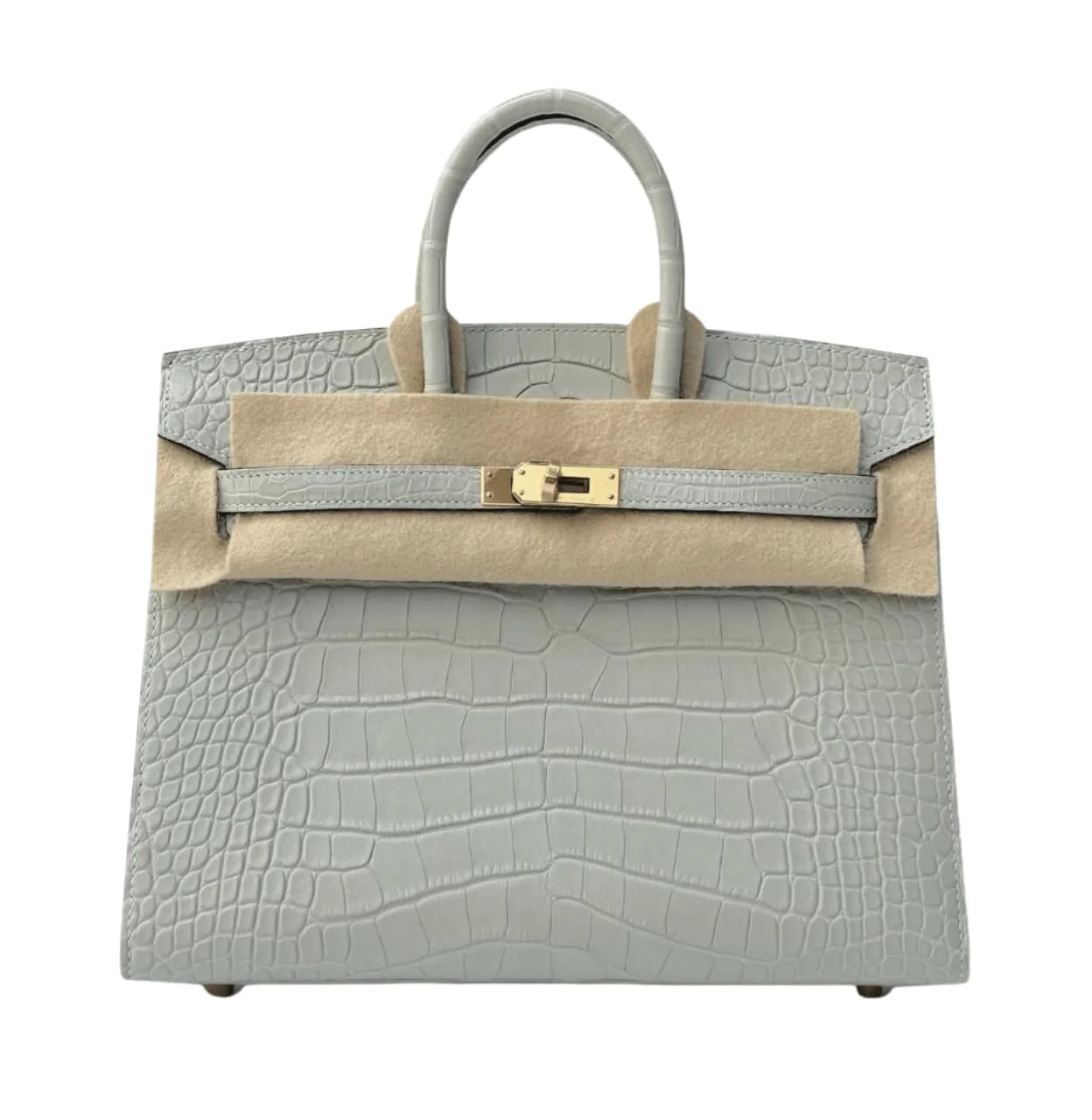 Hermès Bag | Birkin 25 Handbag Pale Grey Silvery Undertones