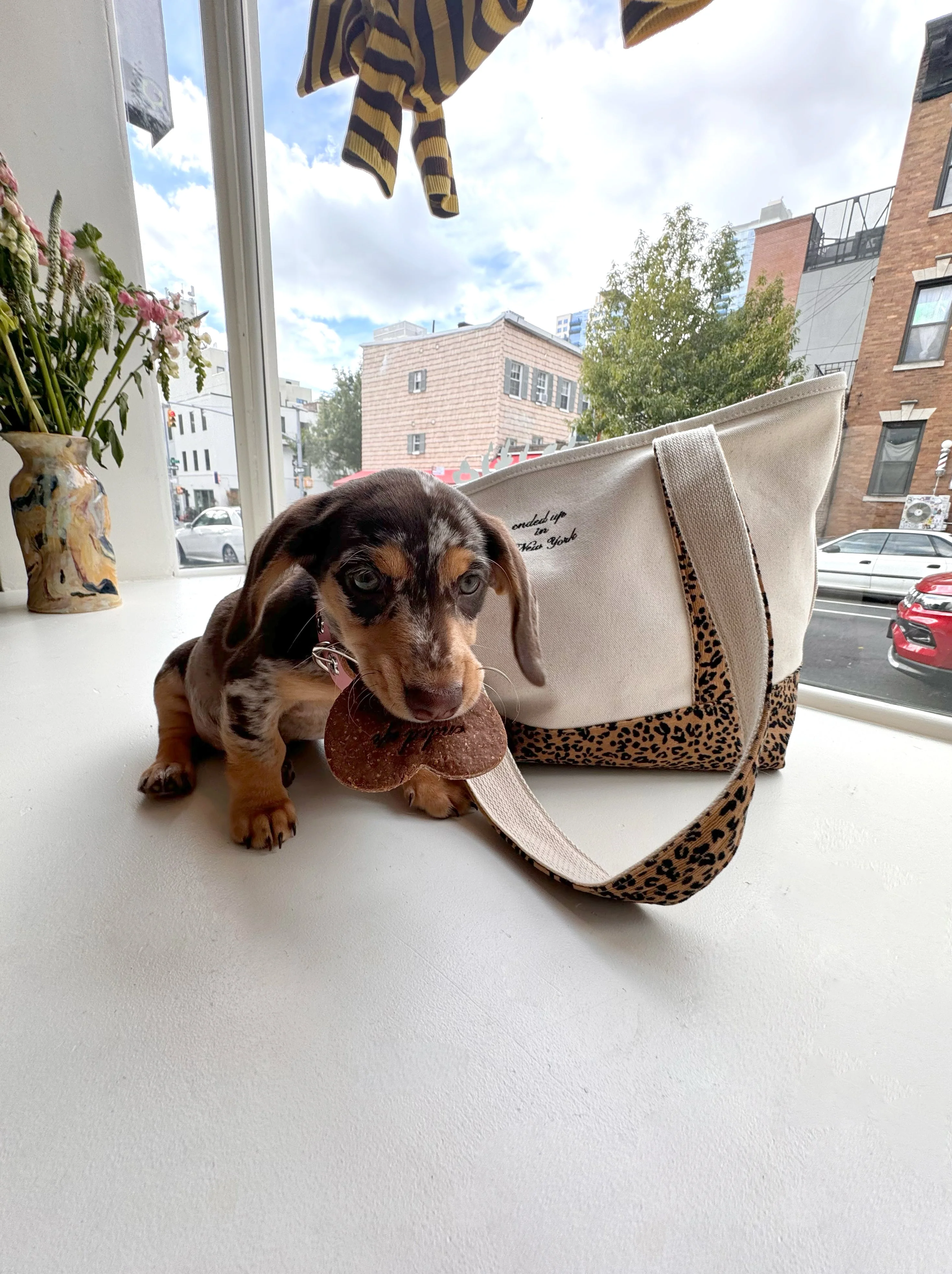 Ended Up in New York Canvas Tote