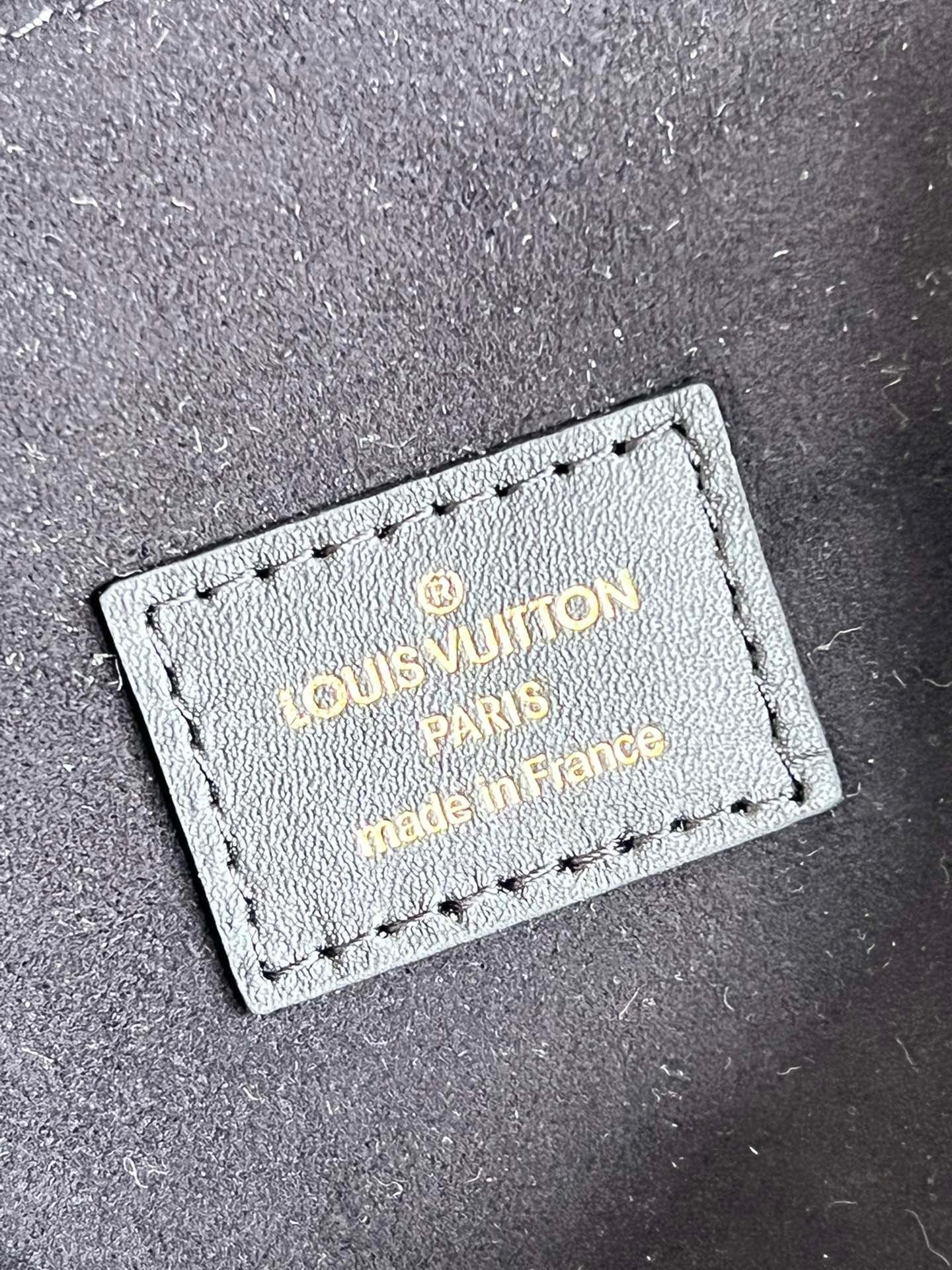 Louis Vuitton Pochette M Tis 25Cm Black Bag