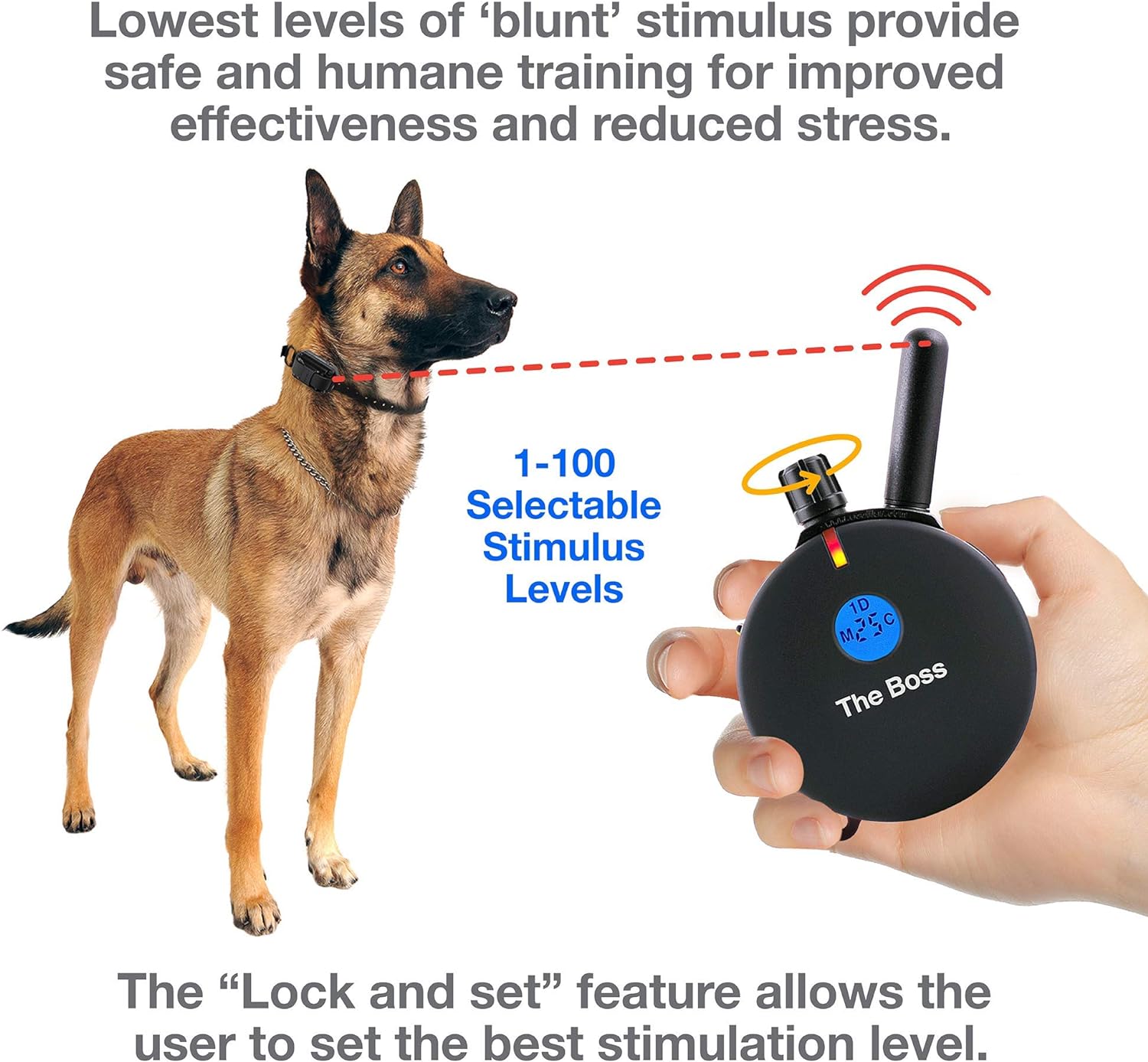 Humane Dog Training Collar with Remote, Features 100 Levels of Safe Stimulation, Tapping Sensation, Night Light, Waterproof, Rechargeable, 1 Mile 1 Dog, Black