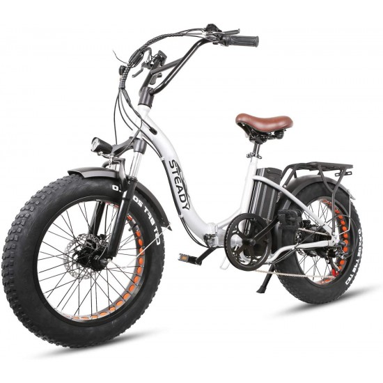 20″ Electric Bikes for Adults, Dual Disc Brake Electric Mountain Bike, 500W Motor Electric Bicycle&48V Removable Lithium Battery