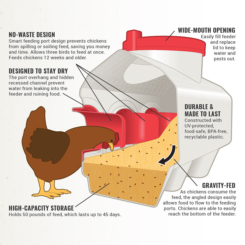 OverEZ Chicken Coop OEZCF OverEZ Chicken Feeder – No Waste