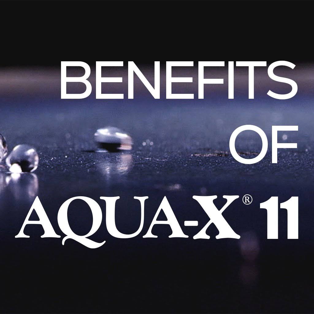 Aqua-X 11 - Clear, Penetrating Concrete Sealer | 5 Gallon