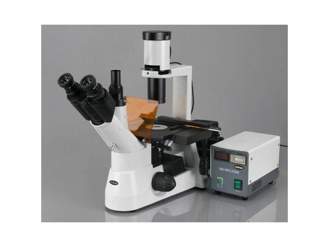 Amscope 40X-1000X Plan Phase Contrast Culture Inverted Fluorescence Microscope