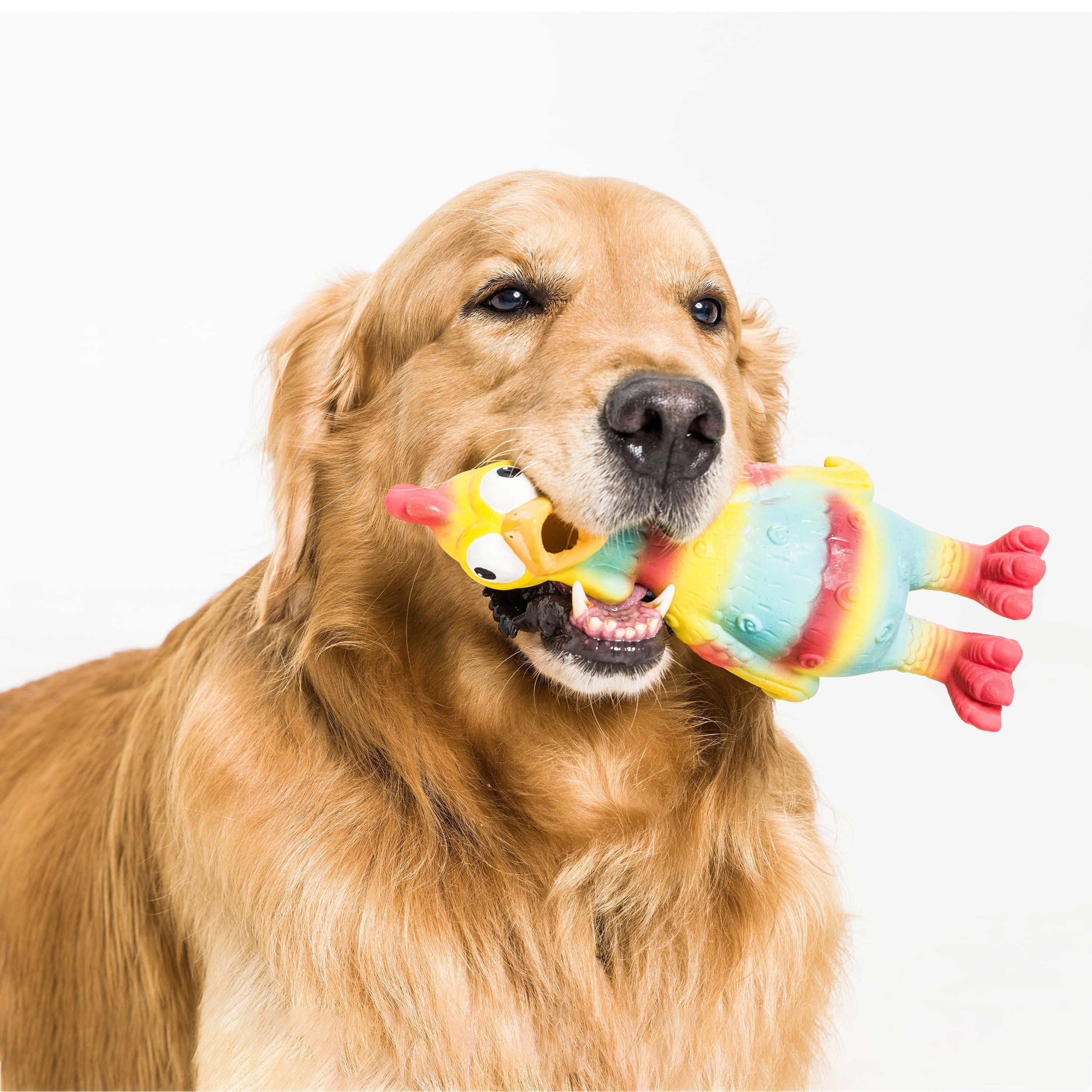 Vibrant Life Playful Buddy Tie Dye Chicken Dog Toy, Chew Level 2, with Squeaker.