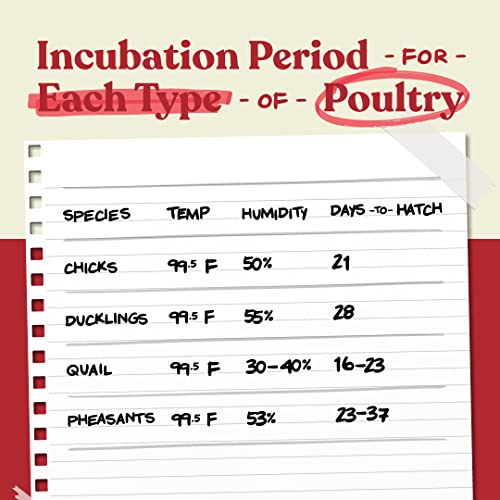 2026 Harris Farms Nurture Right Egg Incubator for Hatching Chicks - Holds 22 Eggs