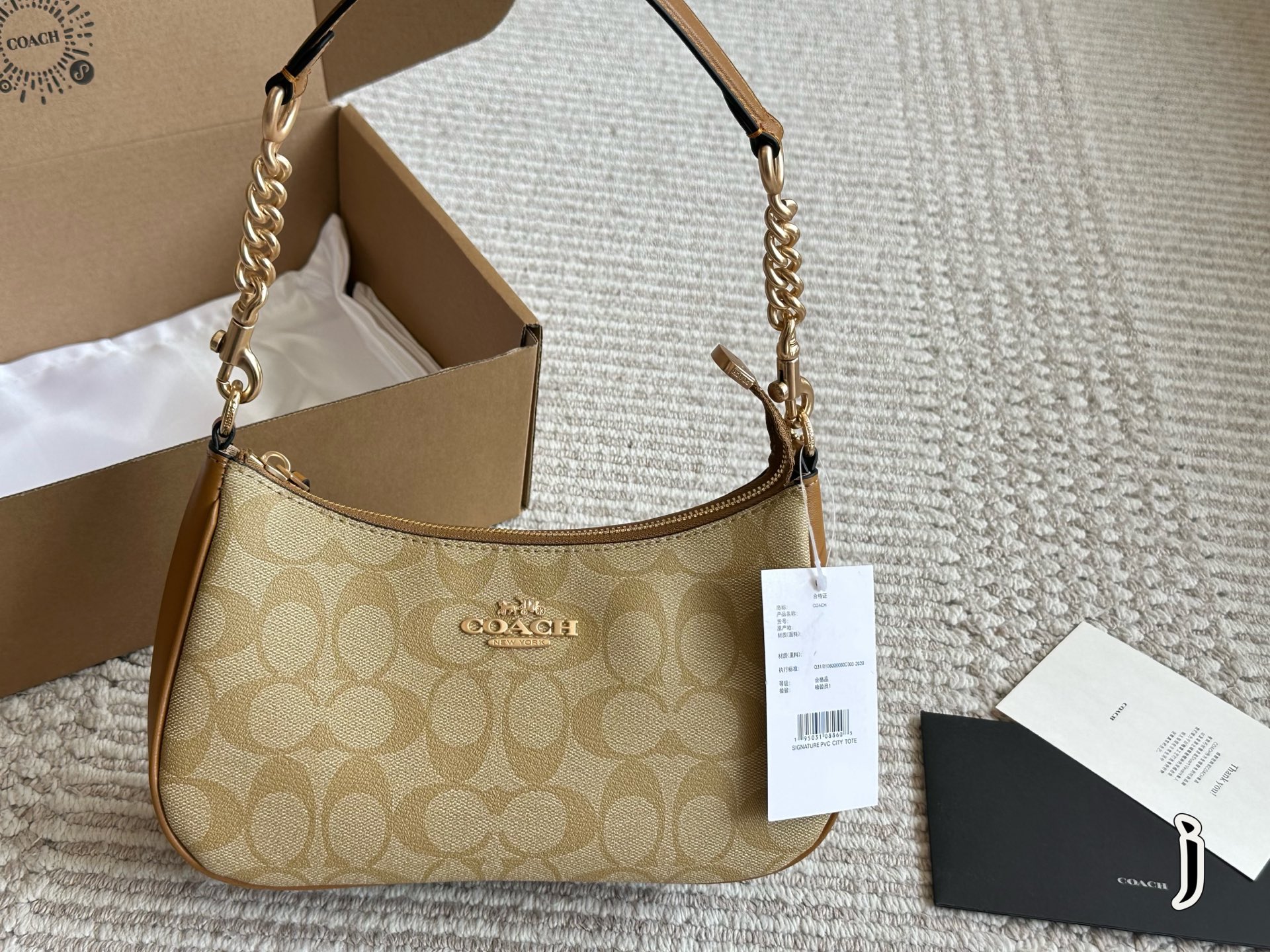 Coach Teri Underarm Bag - cnluxepick
