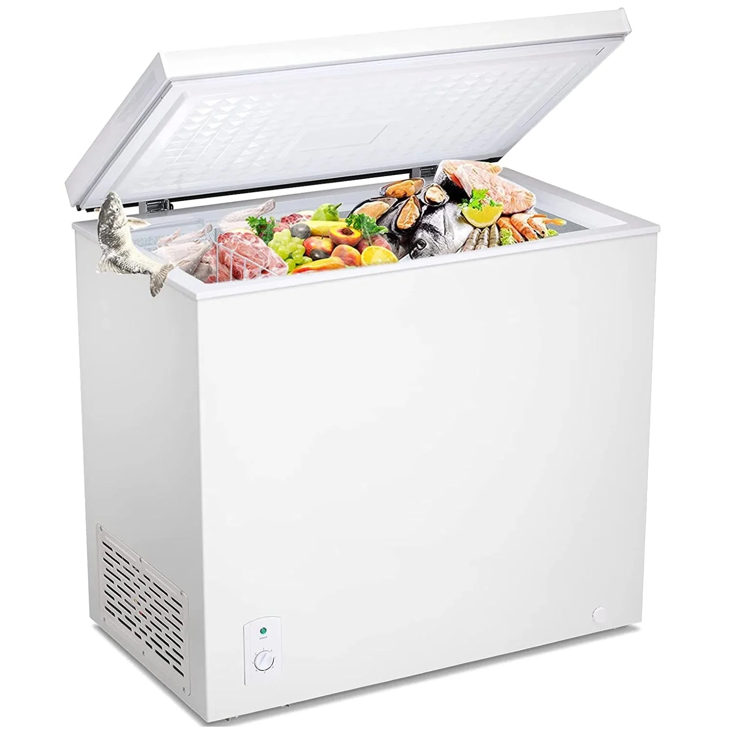 Chest Freezer