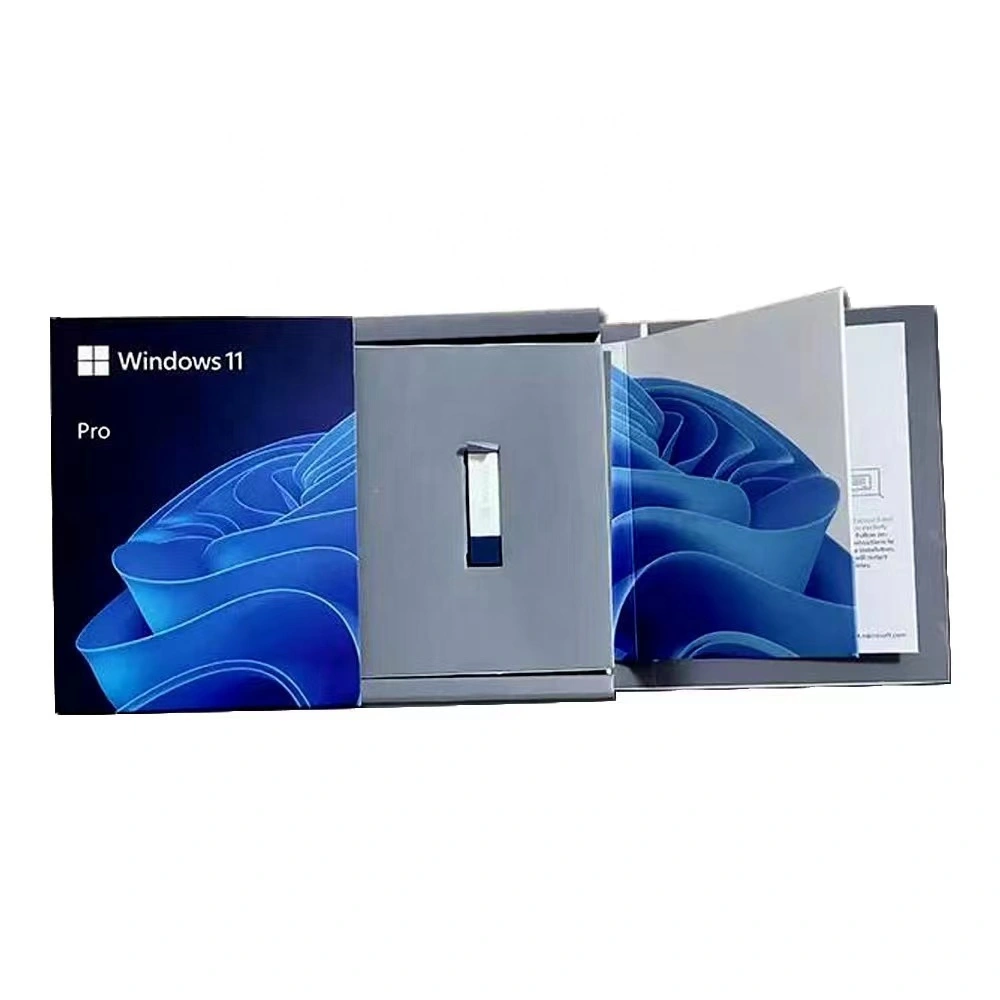 Windows 11 PRO  FPP USB Box