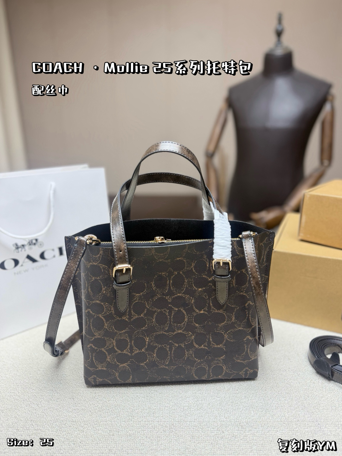COACH Mollie 25 Tote Bag - cnluxepick