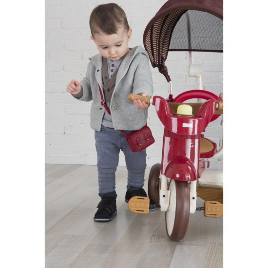 3-in-1 Foldable Tricycle with Canopy (Eternity Red)