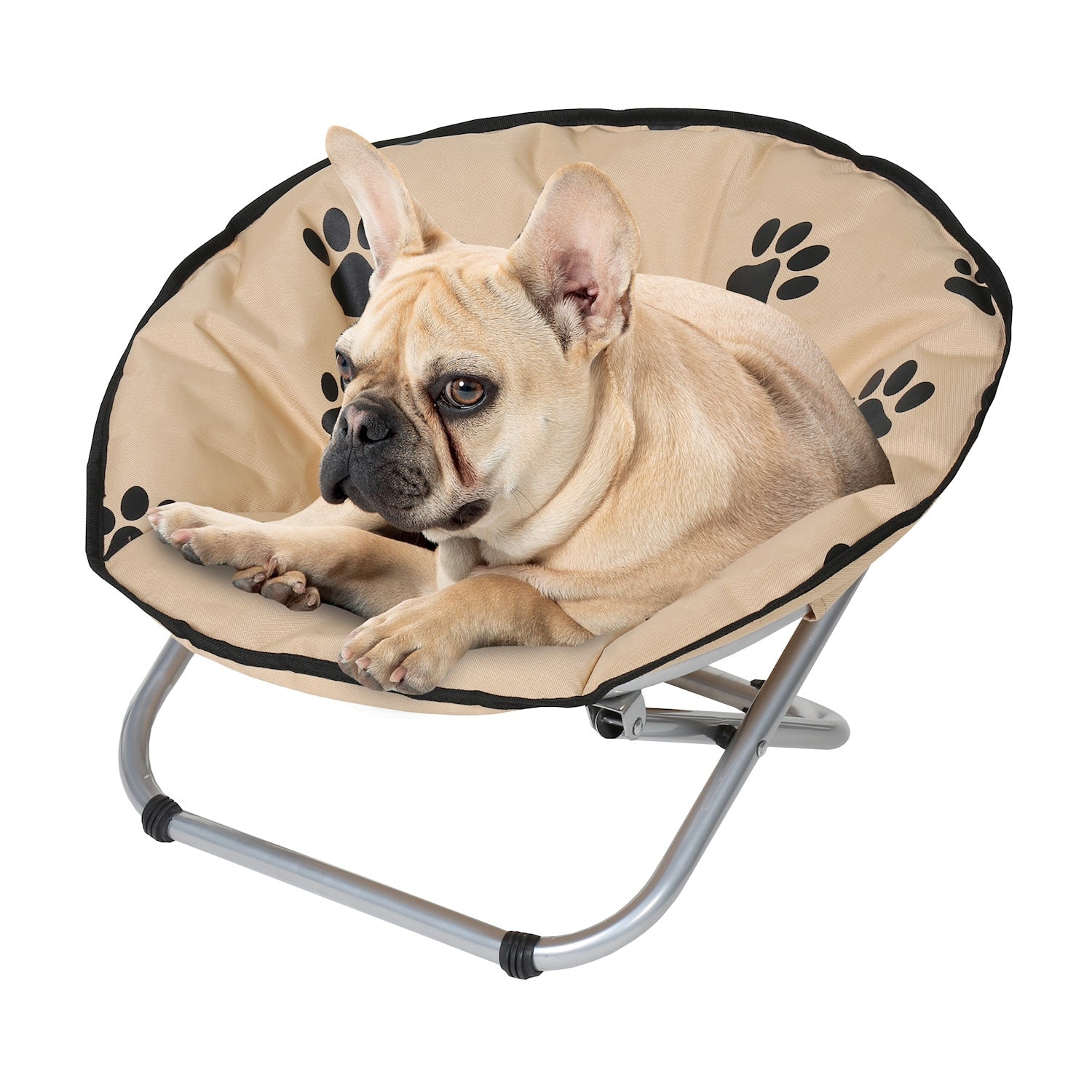 Folding Pet Cot Chair – Elevated Cat Bed, Paw Print Papasan Chair