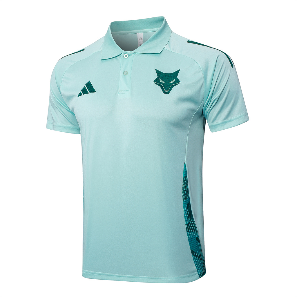 Cruzeiro  POLO Jersey 24/25