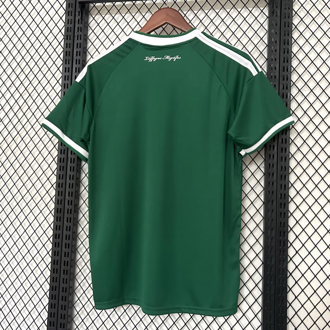 Panathinaikos F.C. 26/27 Away Jersey S-XXL Fan Version