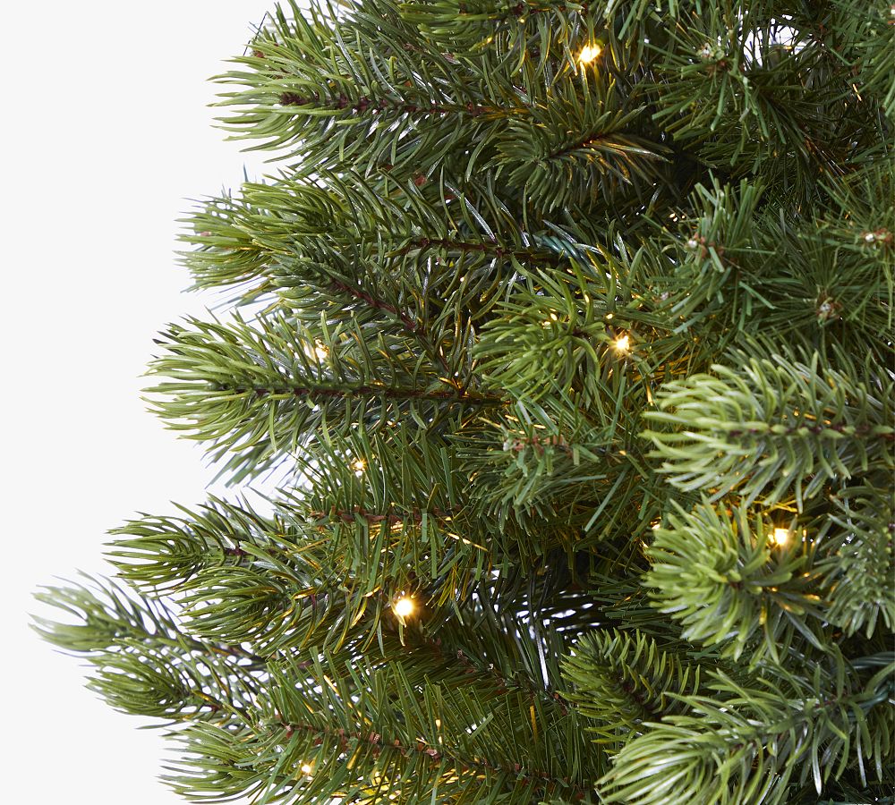 Lit Slim Colorado Mountain Spruce Faux Christmas Tree - 6.5 Ft.