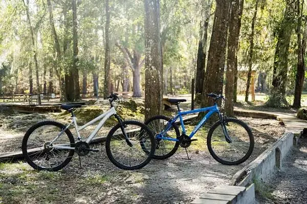 Nishiki Women's Pueblo 1.1 26 in. Mountain Bike | 26