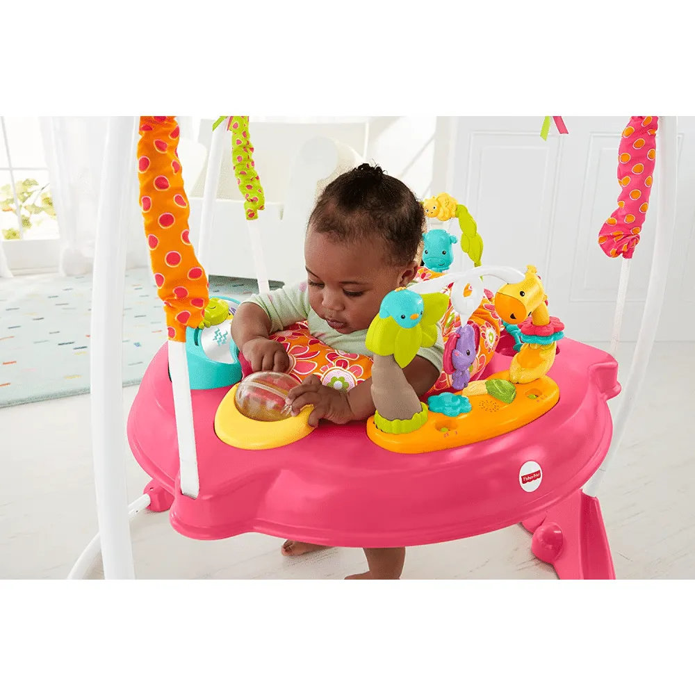 Fisher-Price Jumperoo, Pink Petals
