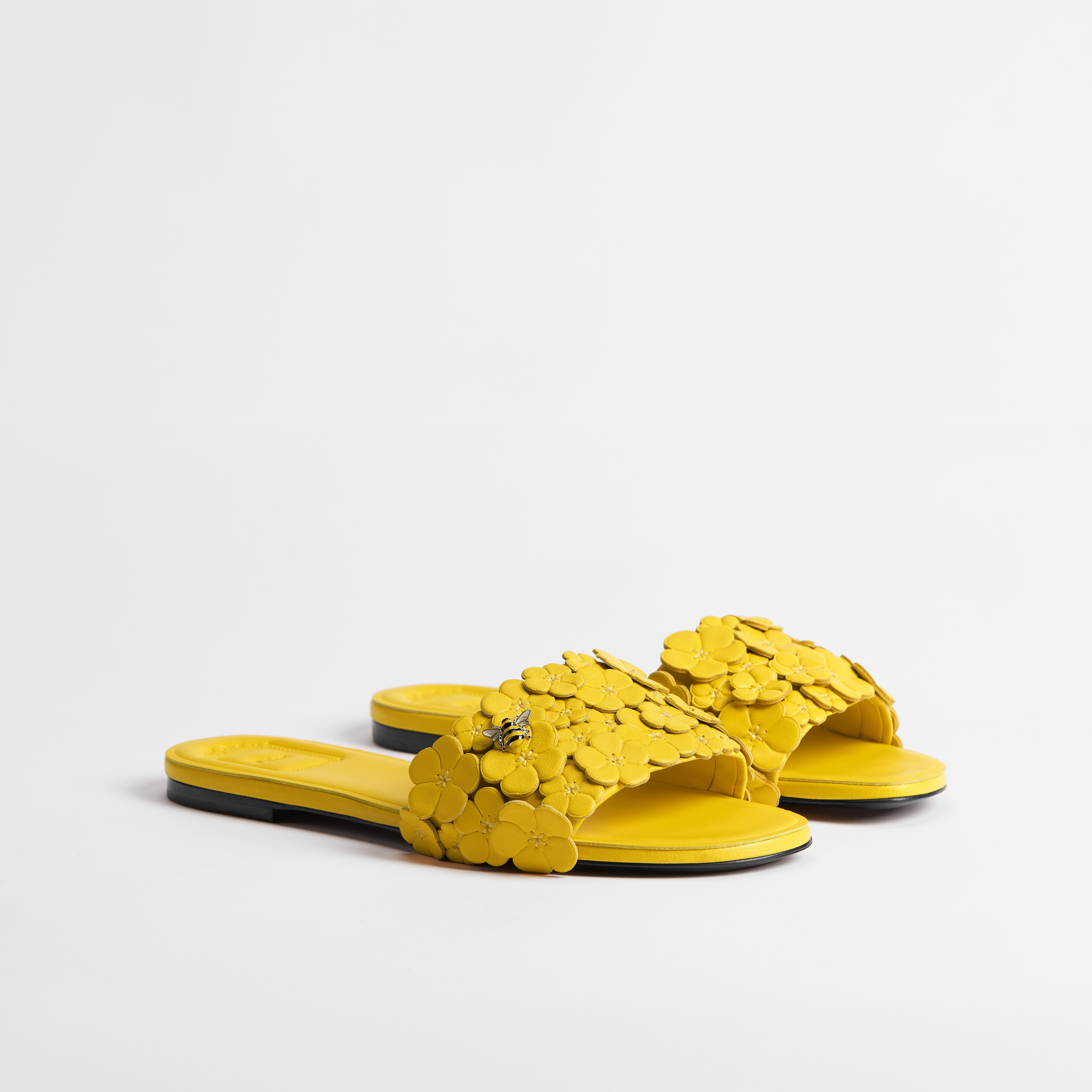 Slides