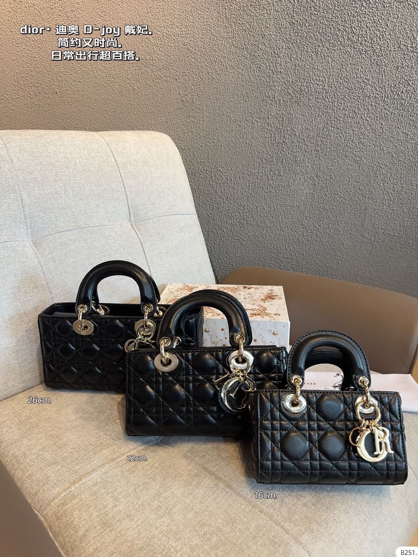 Dior Lady D-joy Horizontal Bag - cnluxepick