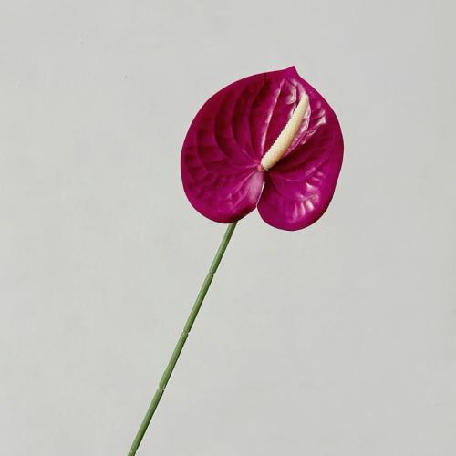 Artificial Anthurium Flowers