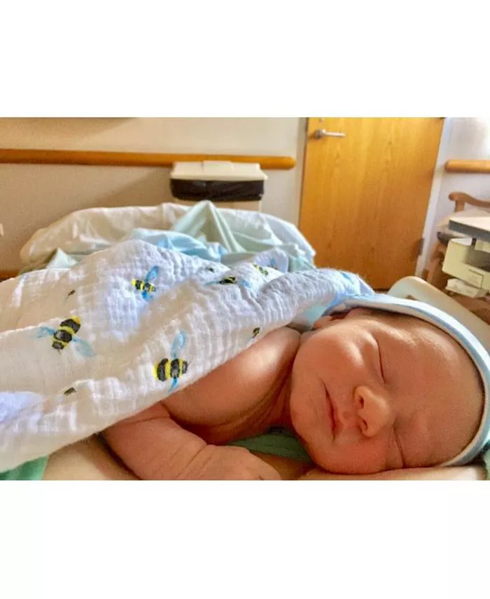 Malabar Baby GOTS Certified Organic Muslin Swaddle - Two-Pack Gift Set, Busy Bees (Bee + Bee Hive)