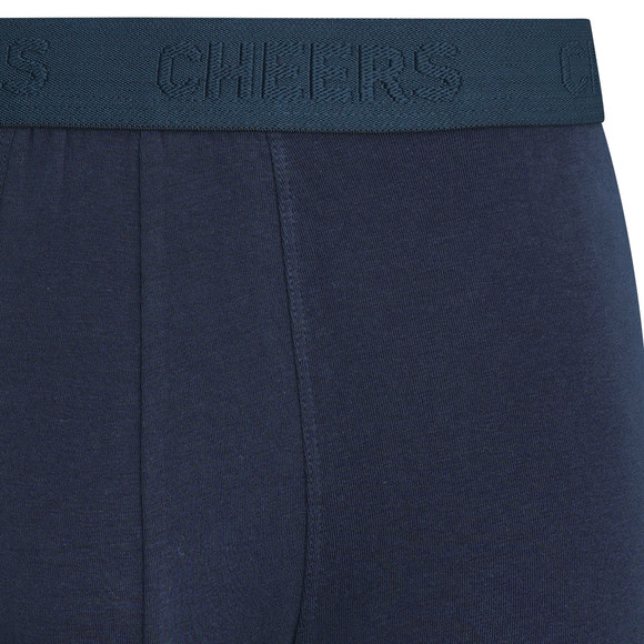 VanVaan Herren Retroshorts mit Fun-Motiv