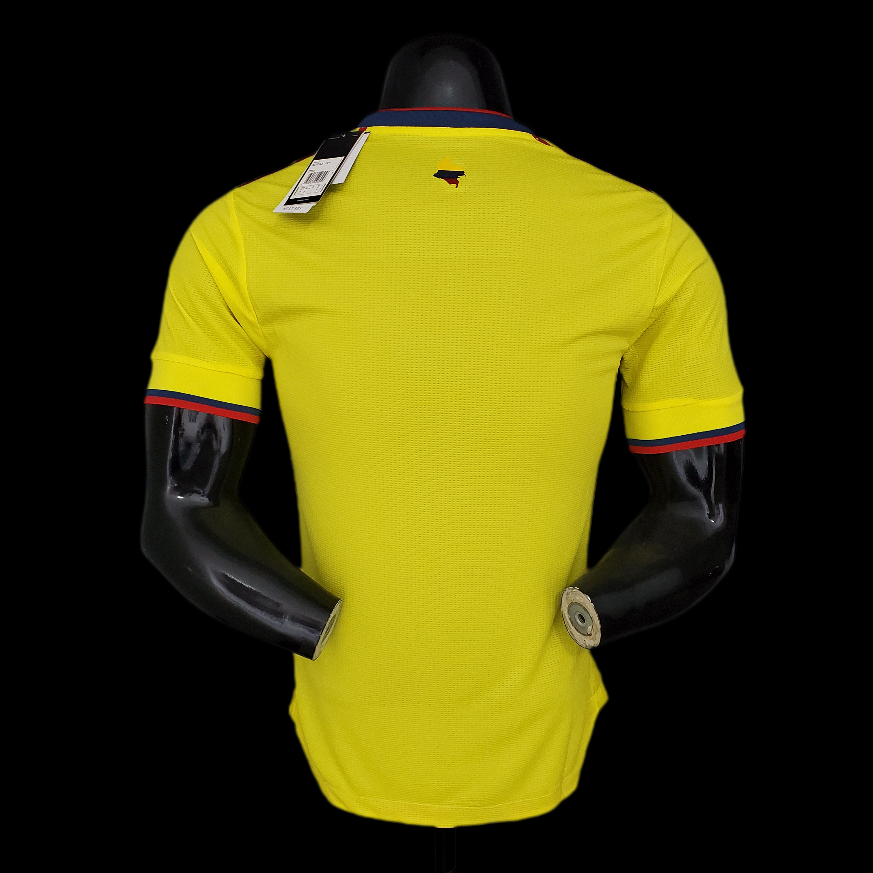 2020 player version Colombia home