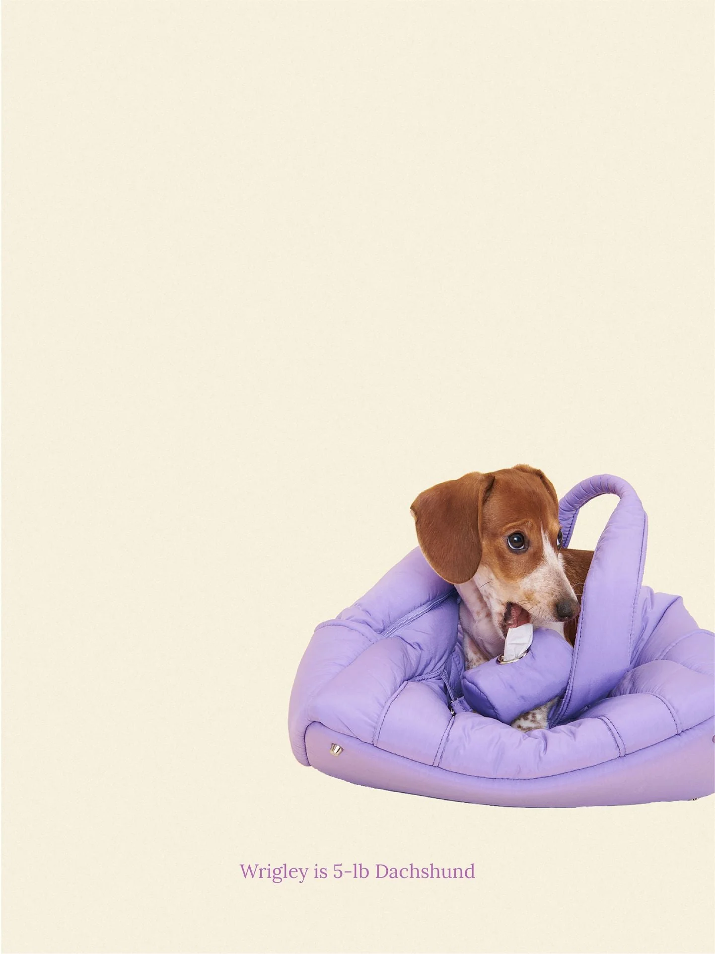 The Little Beast Carrier - Ube