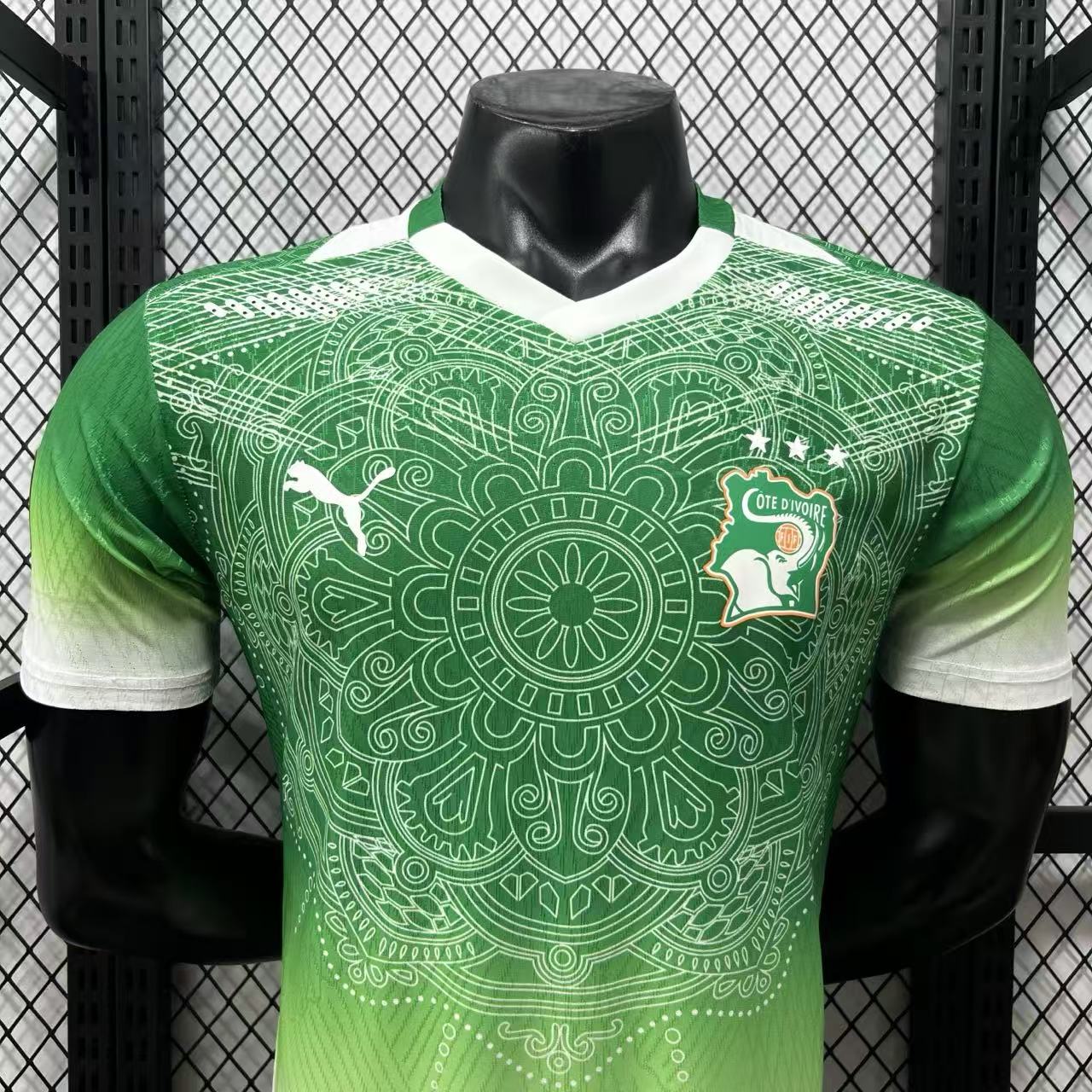 Player Version Côte d'Ivoire 2026 Special Jersey - Green