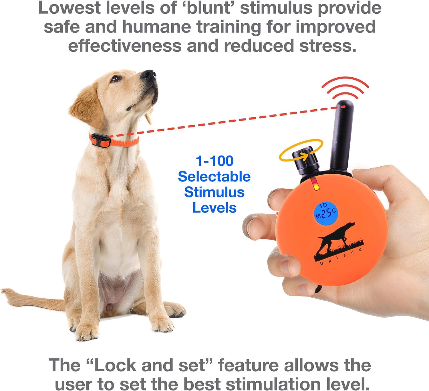 Humane Dog Training Collar with Remote, Features 100 Levels of Safe Stimulation, Tapping Sensation, Night Light, Waterproof, Rechargeable, 1 Mile 1 Dog, Black