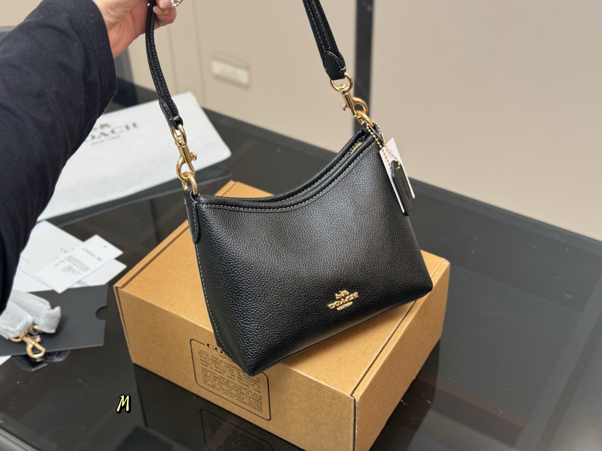 Coach mini Laurel Hobo Bag - cnluxepick
