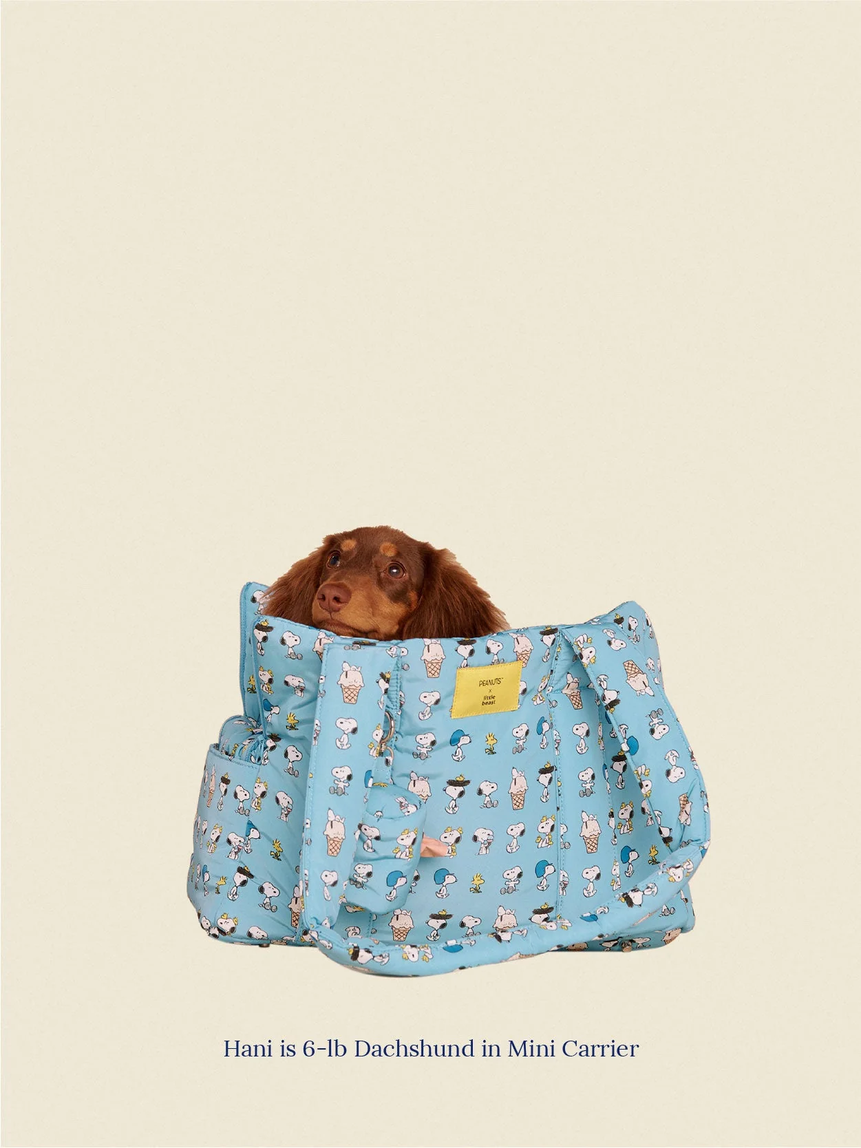 Snoopy Chillin Carrier - PEANUTS