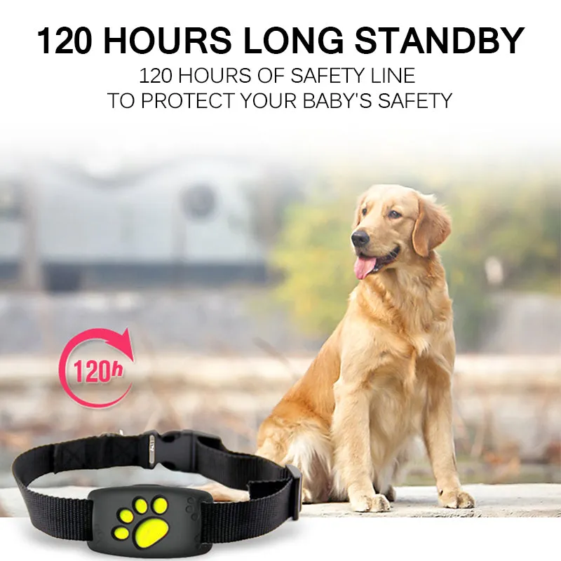 Smart GPS Cat Collar ??Pet GPS Tracker