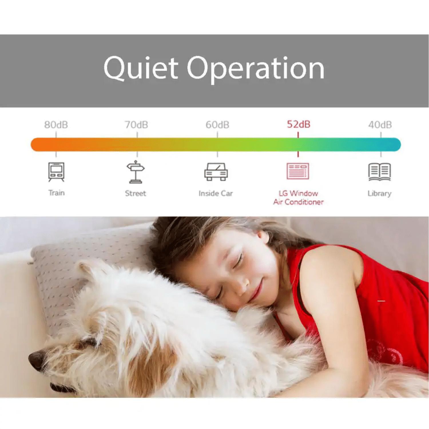 LG Electronics 8,000 BTU 115-Volt Window Air Conditioner LW8016ER