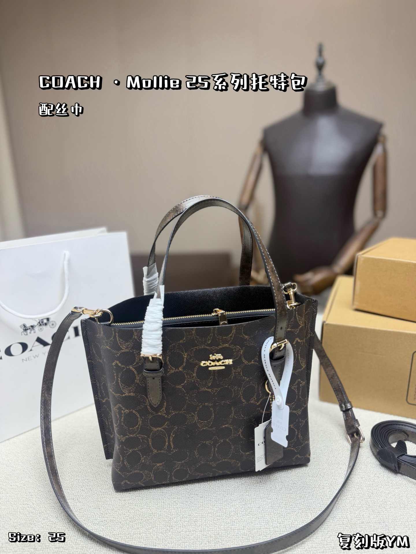 COACH Mollie 25 Tote Bag - cnluxepick