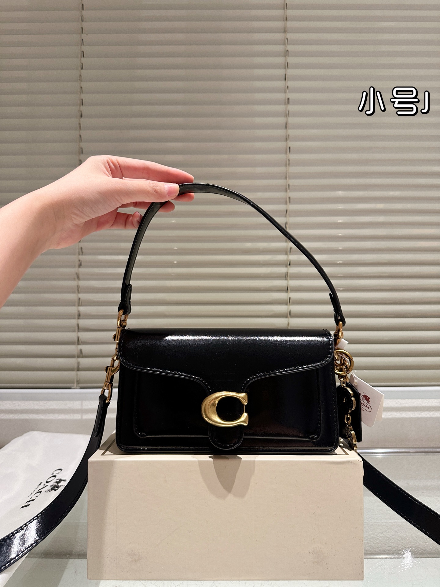 Coach Dionysus Tabby bag - cnluxepick