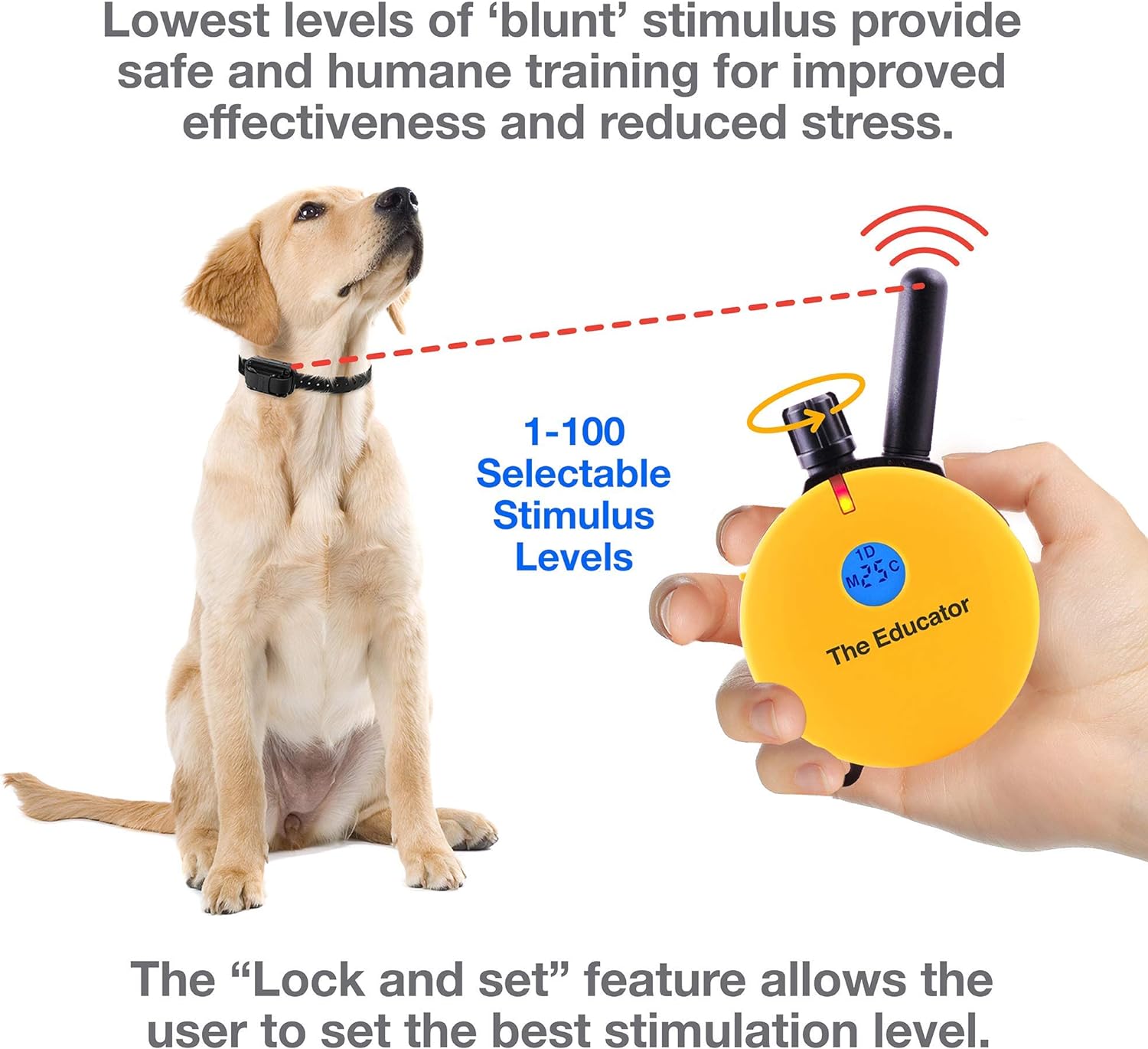 Humane Dog Training Collar with Remote, Features 100 Levels of Safe Stimulation, Tapping Sensation, Night Light, Waterproof, Rechargeable, 1 Mile 1 Dog, Black