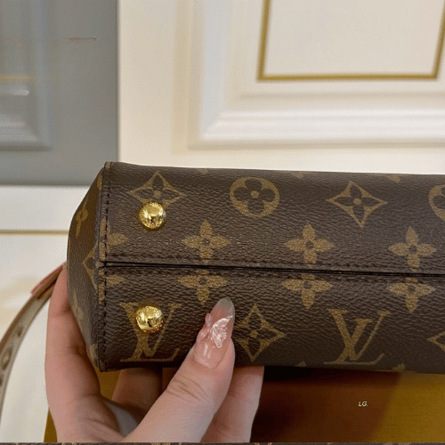 Louis Vuitton Cluny Mini Monogram 7.9 Inches M46055