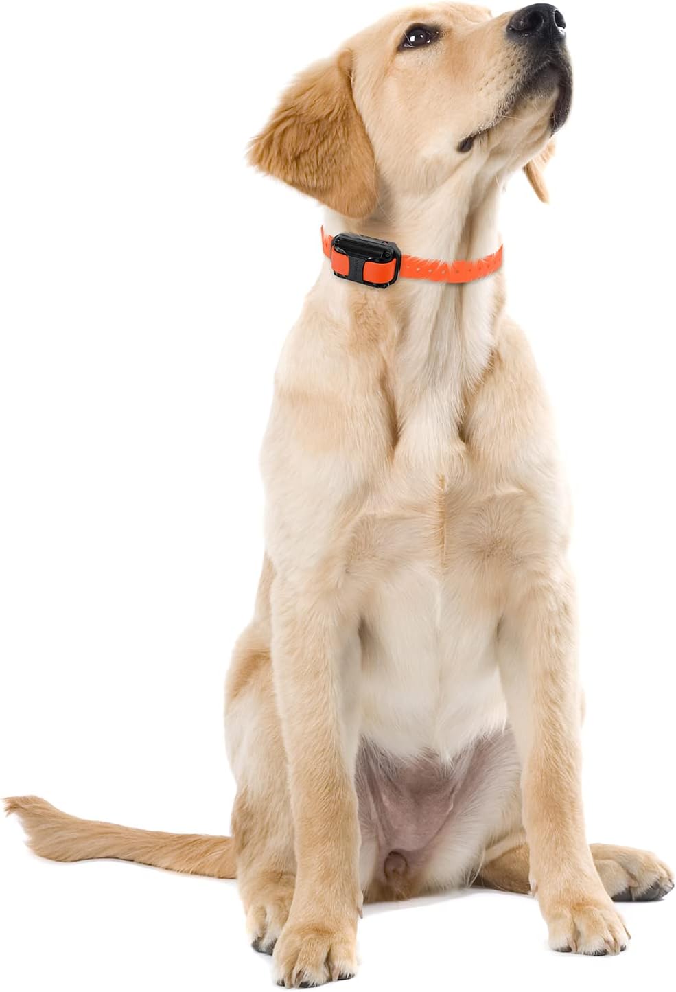 Humane Dog Training Collar with Remote, Features 100 Levels of Safe Stimulation, Tapping Sensation, Night Light, Waterproof, Rechargeable, 1 Mile 1 Dog, Black